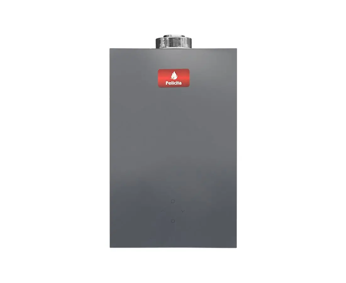 Gas water heater FELICITA DE 1205 (combustion